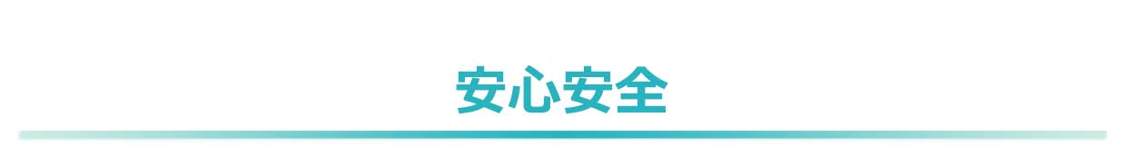 見出し／安心安全