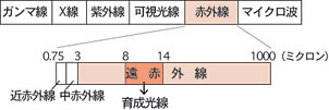 遠赤外線図